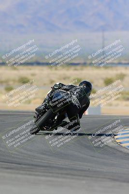 media/Feb-03-2024-SoCal Trackdays (Sat) [[767c60a41c]]/2-Turn 11 (10am)/